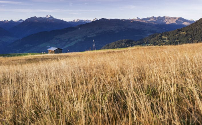 Falera_DANUSER-141018081411