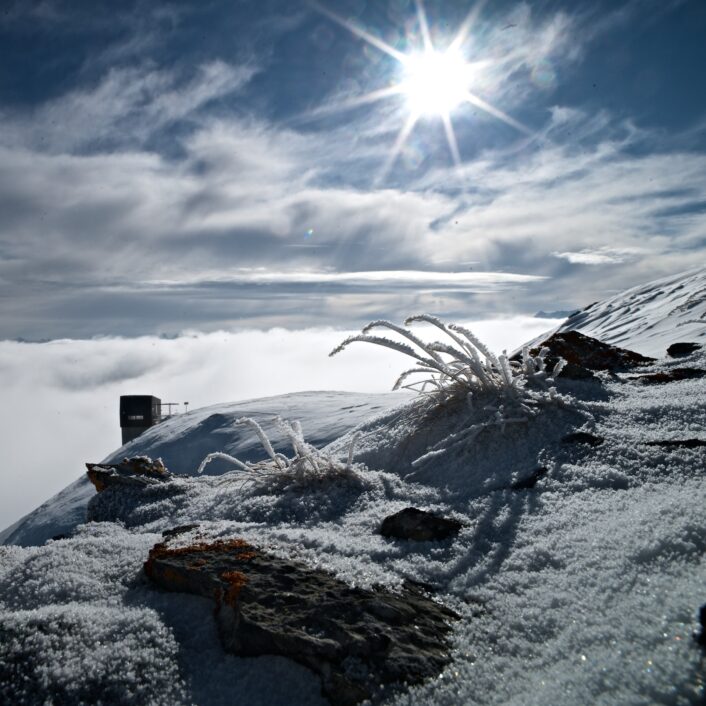 Danuser-280109-285 - V 3